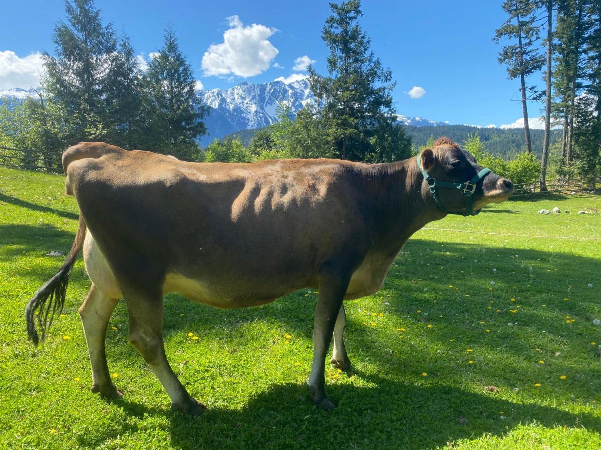 Villa Sweetwater Lane Farm à Mount Currie Extérieur photo