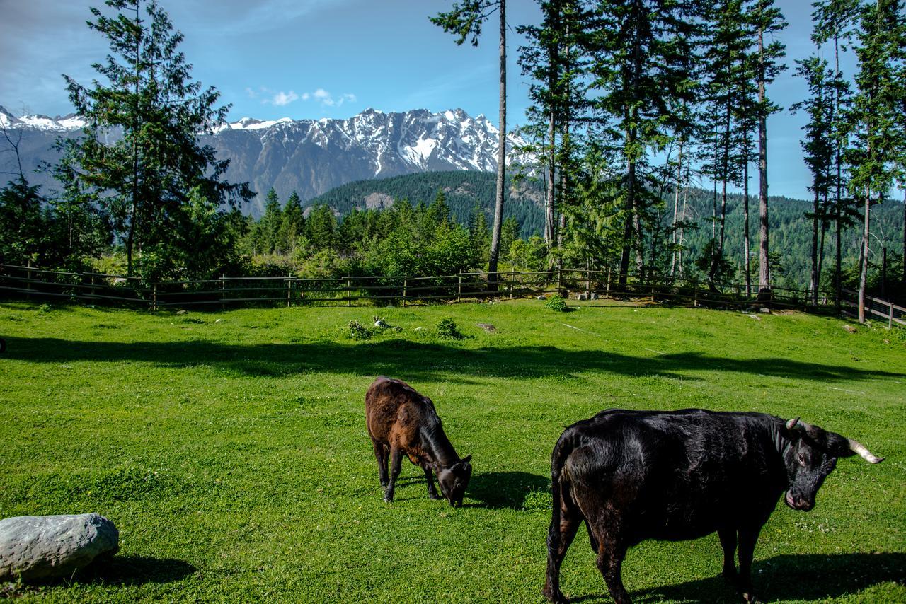 Villa Sweetwater Lane Farm à Mount Currie Extérieur photo