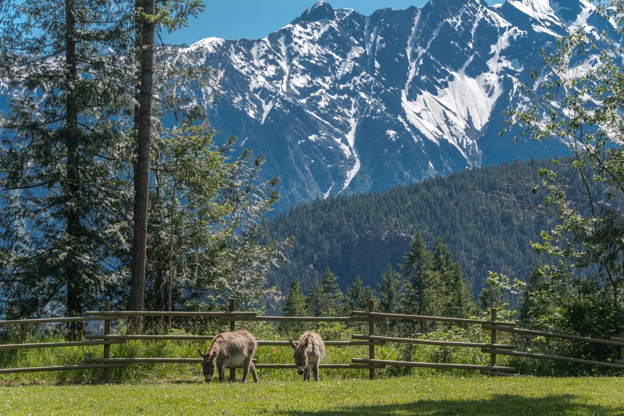 Villa Sweetwater Lane Farm à Mount Currie Extérieur photo