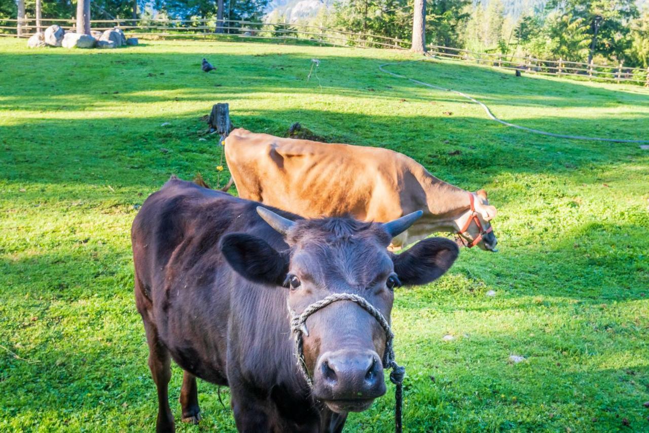 Villa Sweetwater Lane Farm à Mount Currie Extérieur photo